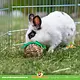 Trixie Grass Rodent & Rabbit Toy 7 cm