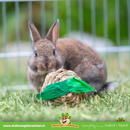 Trixie Jouet Herbe Rongeur & Lapin 7 cm