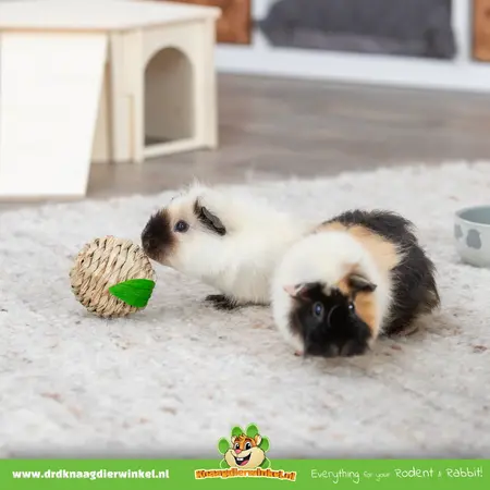 Trixie Grass Rodent & Rabbit Toy 7 cm