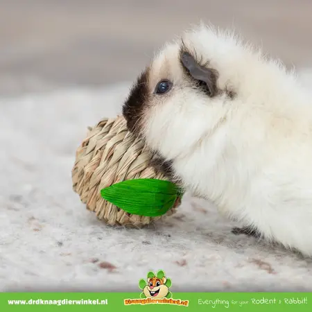 Trixie Grasspielzeug für Nagetiere und Kaninchen, 7 cm