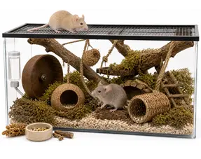 Guide de sélection des cages à souris colorées