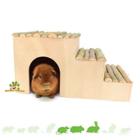 Treppenhaus aus Holz, 42 cm, für Ratten und Meerschweinchen