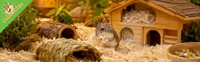 Waarom verkopen wij geen stoffen mandjes voor hamsters?