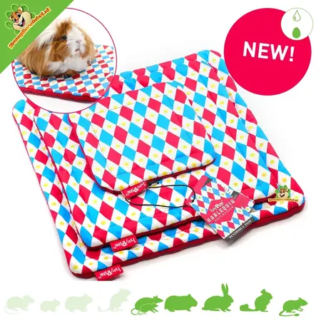 HayPigs Ensemble de 3 pièges HayPigs Harlequin Plasmat pour rongeurs et lapins