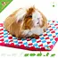 HayPigs Ensemble de 3 pièges HayPigs Harlequin Plasmat pour rongeurs et lapins