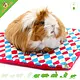 HayPigs Ensemble de 3 pièges HayPigs Harlequin Plasmat pour rongeurs et lapins