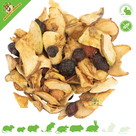 JR Farm Rozenbottel & Appel Chips 125 gram
