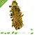 JR Farm Amaranth