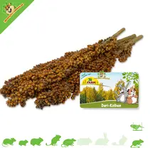 Dari Cob Harvest 100 gramów