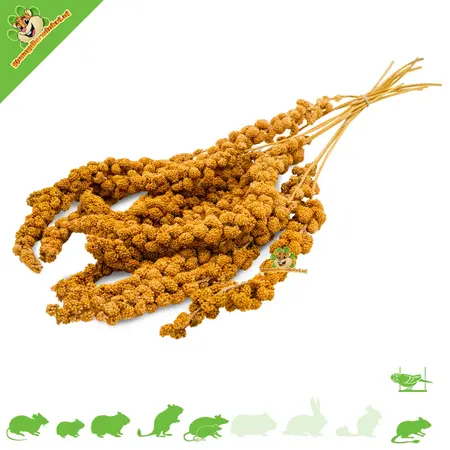 JR Farm Mijo amarillo para roedores y aves