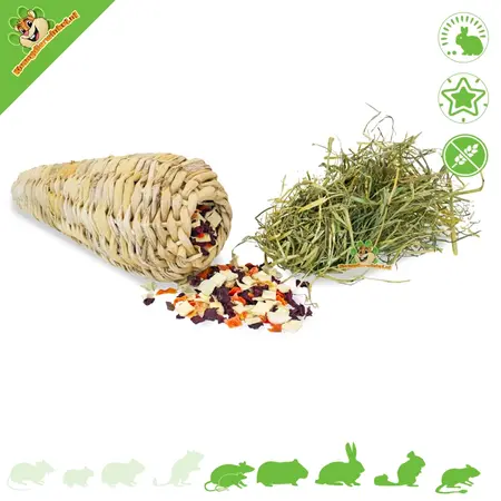 JR Farm Zanahoria rellena masticable para roedores y conejos