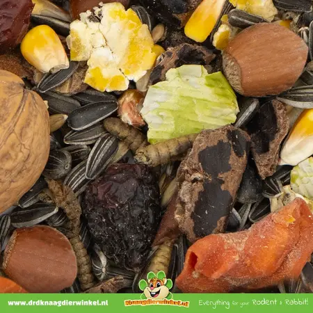 JR Farm Comida para ardillas Schmaus 600 gramos