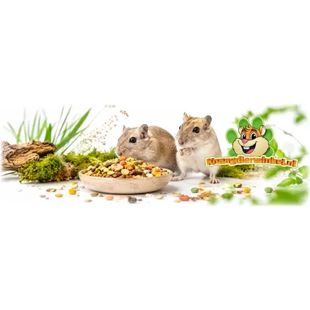 Supreme Gerri Gerbil Tasty Mix karma dla myszoskoczków 850 gramów