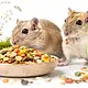 Supreme Gerri Gerbil Tasty Mix, nourriture pour gerbilles, 850 grammes
