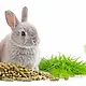 Supreme Aliment complet pour jeunes lapins Supreme Selective Rabbit Junior – croquettes tout-en-un (1,5 kg)