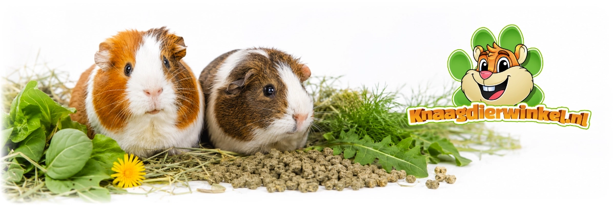 Supreme Selective Guinea Pig Food