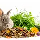 Mealberry Mealberry Little One Green Valley Konijnenvoer Graanvrij 750 gram