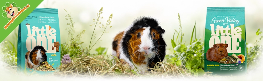 Wat is het verschil tussen Little One Green Valley Cavia en de normale Little One Cavia?