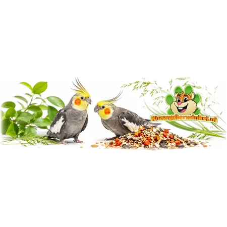 Mealberry Alimento diario RIO para periquitos grandes: ¡natural y nutritivo!
