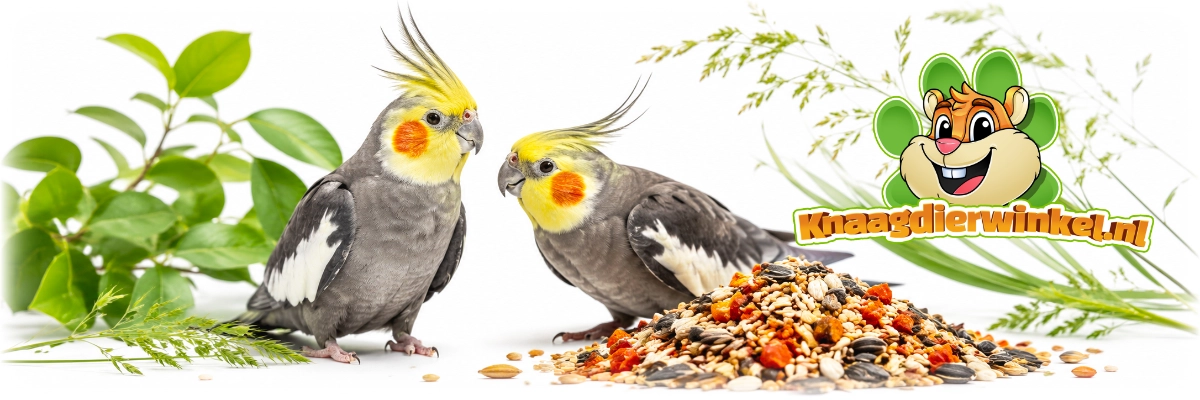 Mealberry RIO Daily Feed for Large Parakeets