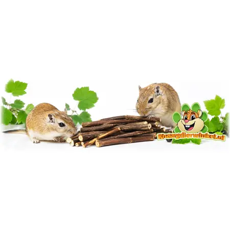 Mealberry Little One Aalbessentakken Knaaghout voor Knaagdieren en Konijnen