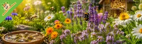 Wereld Bijendag 20 mei: zo help je bijen in je tuin of op je balkon