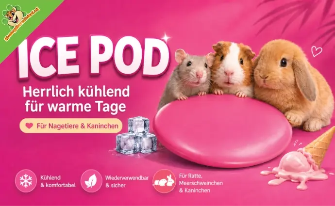 ICEPOD