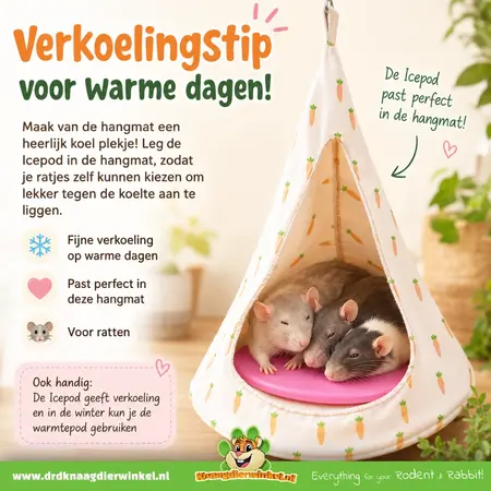 Pluche Hangmat Tipi Tent 42 cm voor ratten, cavia’s en chinchilla’s