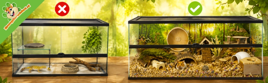 Waarom reptielenterrariums niet geschikt zijn voor knaagdieren