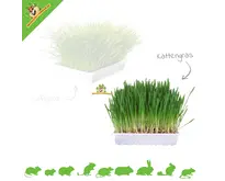 Herbe à rongeurs 100 grammes