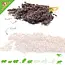 Knaagdier Kruidenier Dari Kolf Sorghum Oogst Zwart of Rood 100 gram