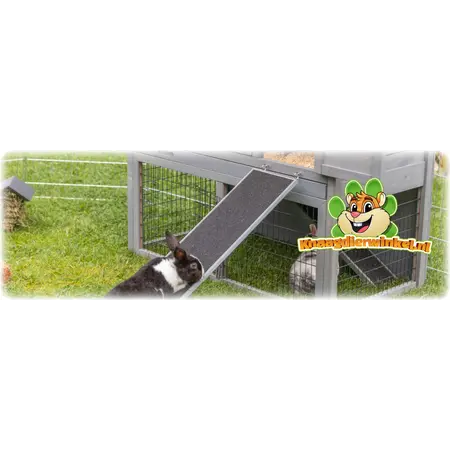 Trixie Houten Loopplank 50 cm voor Cavia’s & Konijnen
