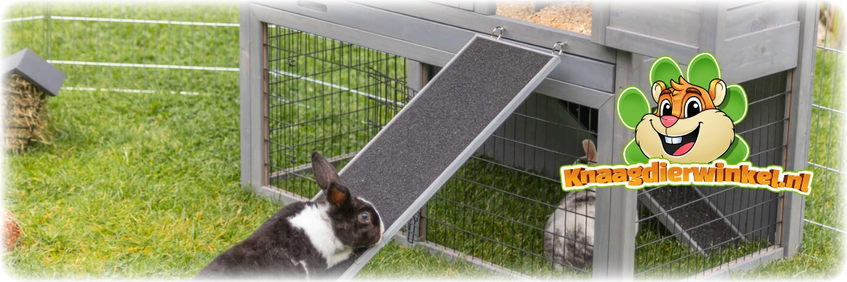 Trixie Houten Loopplank 50 cm voor cavia’s en konijnen