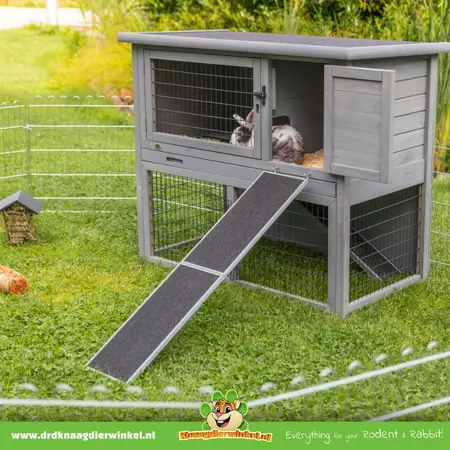 Trixie Houten Loopplank 50 cm voor Cavia’s & Konijnen