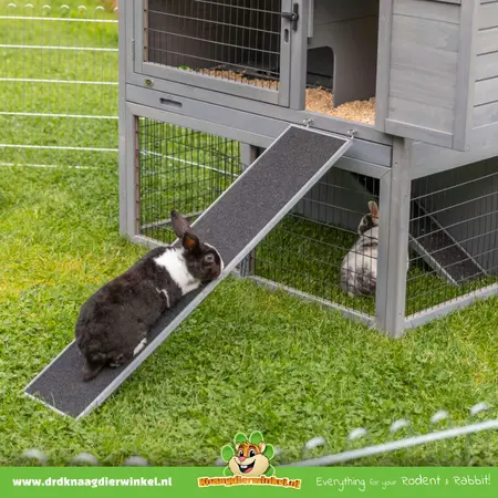 Trixie Houten Loopplank 50 cm voor Cavia’s & Konijnen