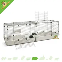 Caviakooi Cubix XXL 200 cm