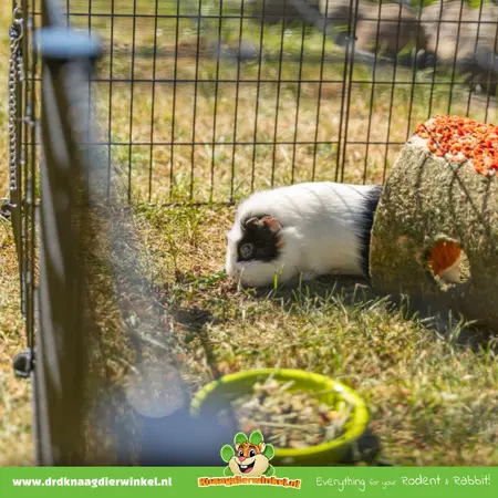 Trixie Guinea Pig Run with Roof 152 x 72 x 38 cm Black