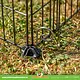 Trixie Guinea Pig Run with Roof 152 x 72 x 38 cm Black