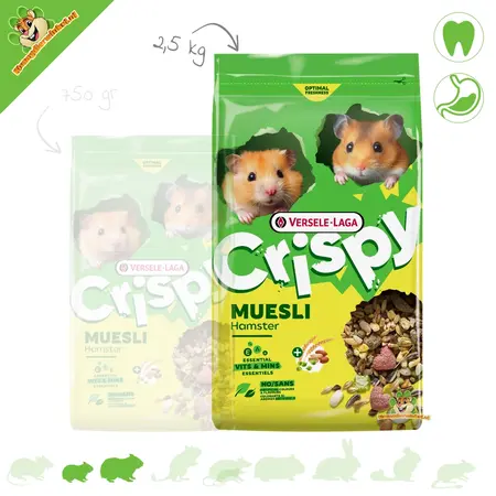 Versele-Laga Crispy Muesli Hamster pour Hamsters Nains et Hamsters Dorés