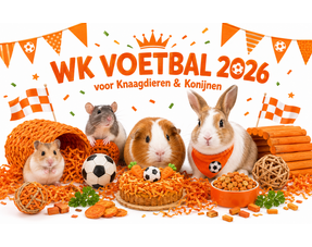 WK Voetbal 2026