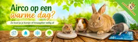 Airco voor je knaagdier of konijn bij warm weer: waar let je op?