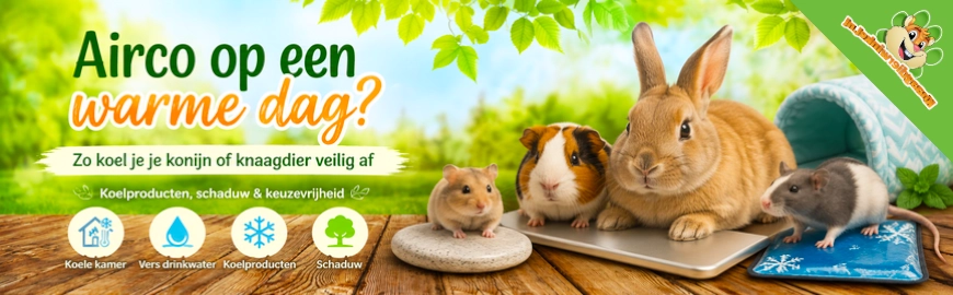 Airco voor je knaagdier of konijn bij warm weer: waar let je op?