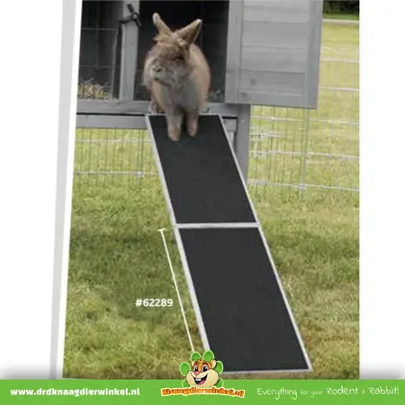 Trixie 50 cm lange Holzrampe für Meerschweinchen und Kaninchen
