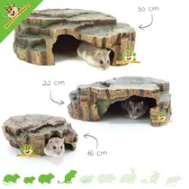 Rainforest Hideout
