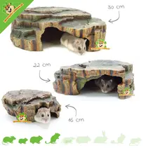 Regenwald-Versteck