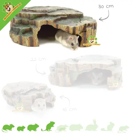 Trixie Rainforest Hideout in 16, 22 and 30 cm for Small Rodents