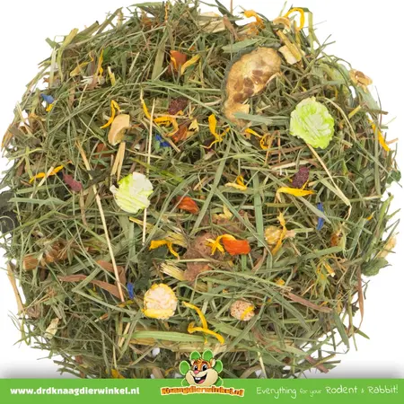 JR Farm Alimento completo de granja para cobayas adultas