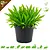 Knaagdier Kruidenier Fresh Organic Plantain Plant