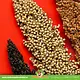 Mealberry Mezcla de Mazorcas de Sorgo Dari Rojo Blanco Negro para pequeños roedores y aves
