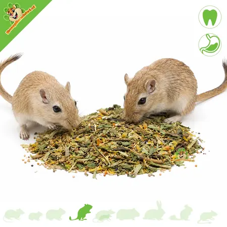 Aliment de Base Varié pour Gerbilles 750 g